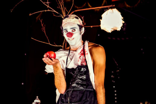 Photo du spectacle "La petite histoire…" de Typhus Bronx